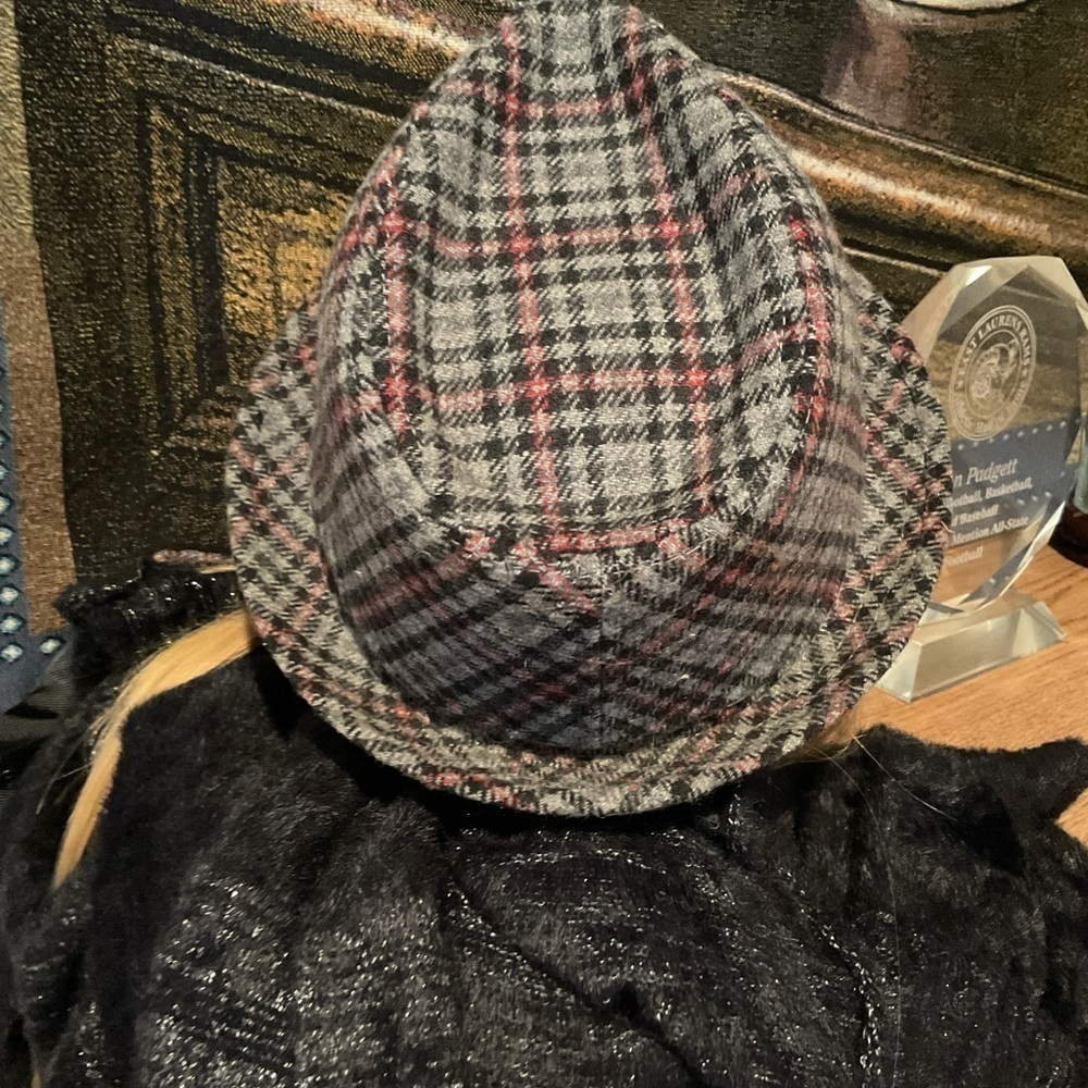 Plaid Fedora - Picture 7 of 11